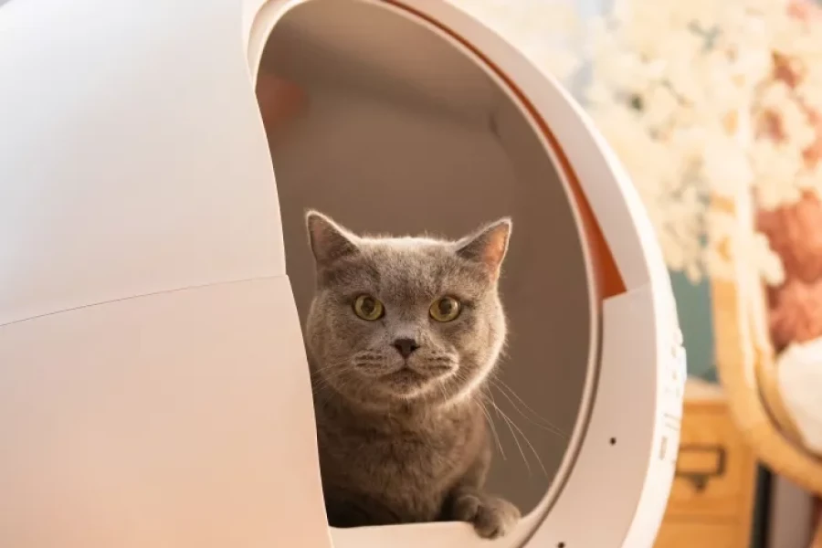 Smart Automatic Litter Box